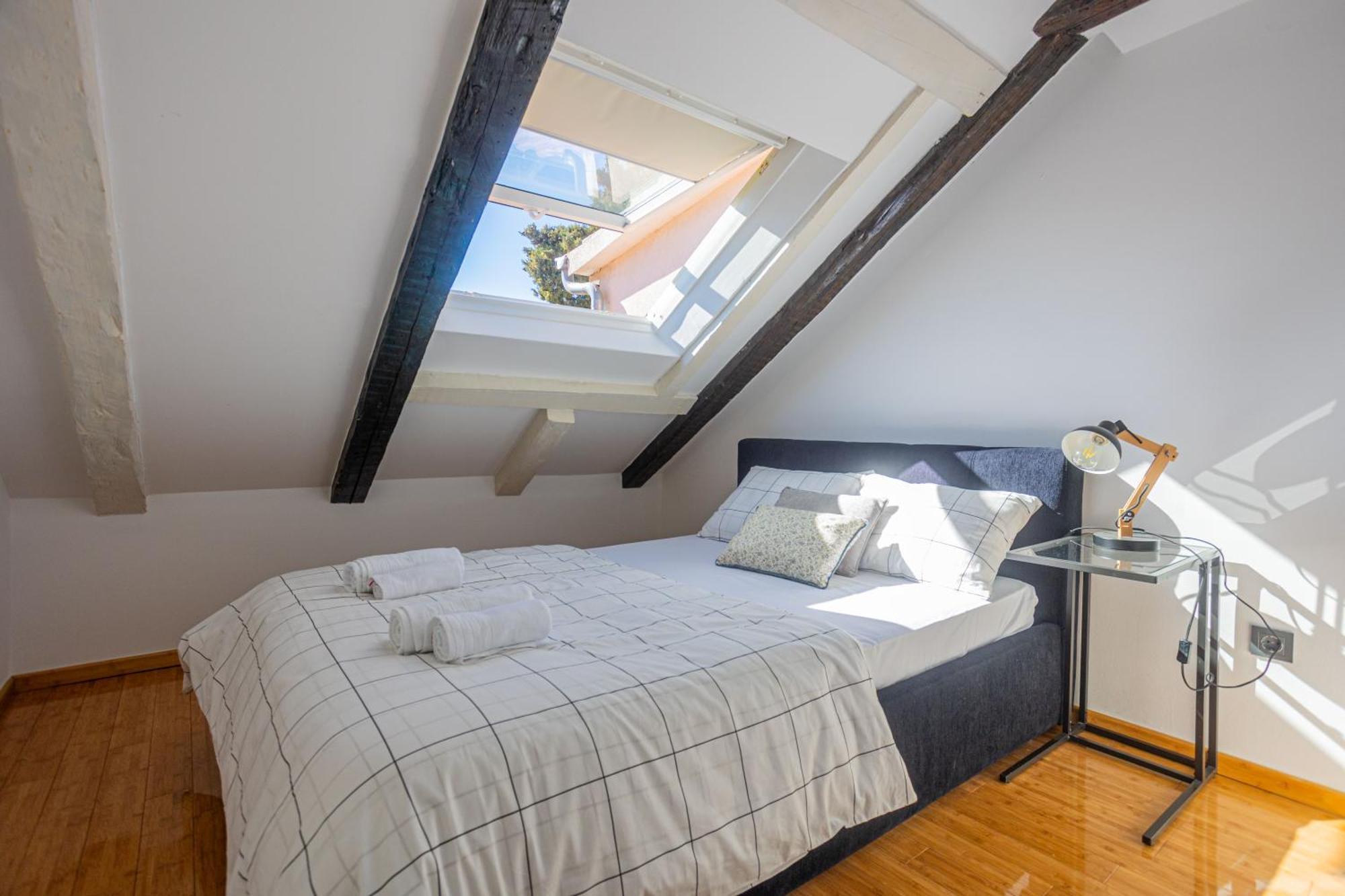 Apartment Luxattic *